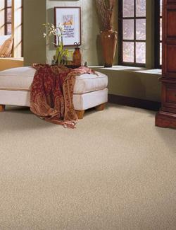 carpet in living room